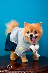 imToken钱包苹果版